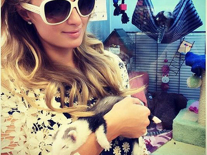 Paris Hilton hält ihr neues Frettchen auf dem Arm