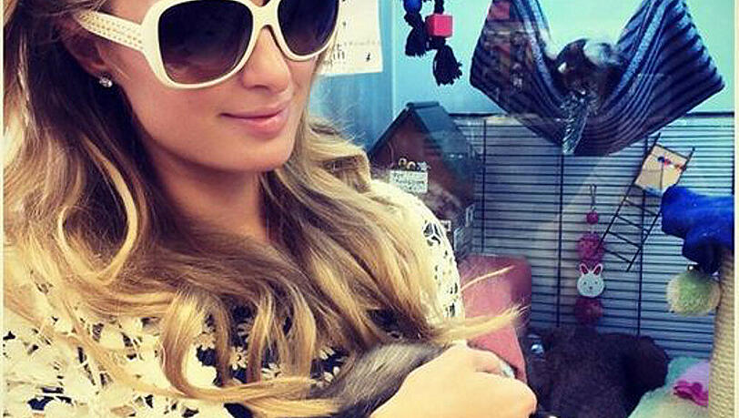 Paris Hilton hält ihr neues Frettchen auf dem Arm Paris Hilton hält ihr neues Frettchen auf dem Arm