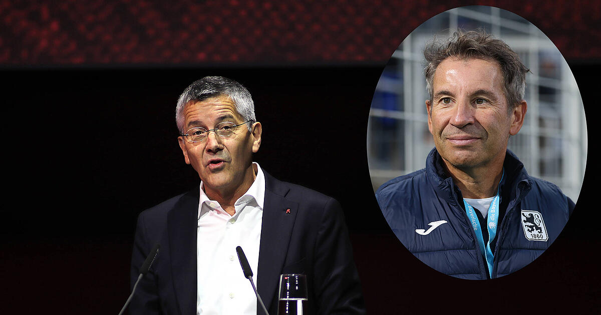 -berhaupt-nicht-respektlos-Bayern-Boss-Hainer-kontert-1860-Pr-sident-Mang