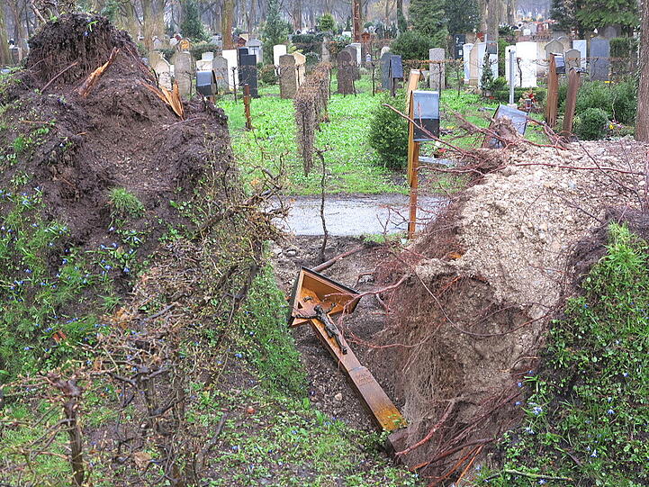 Weitere Aufnahmen vom Ostfriedhof.