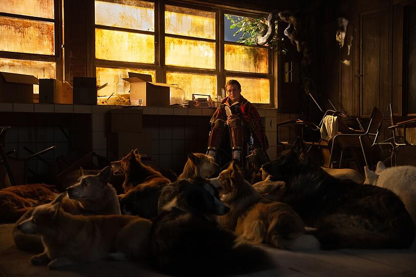Doug (Caleb Landry Jones) ist der DogMan: In einer verlassenen Schule lebt er mit unzähligen Hunden. Doug (Caleb Landry Jones) ist der DogMan: In einer verlassenen Schule lebt er mit unzähligen Hunden.