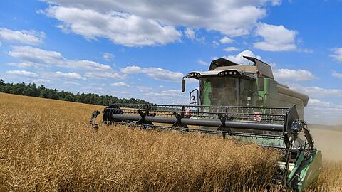 Der Export von Weizen, Roggen und Gerste aus Russland wurde gestoppt. Auch die Ukraine ist ein wichtiger Weizenlieferant in Europa.