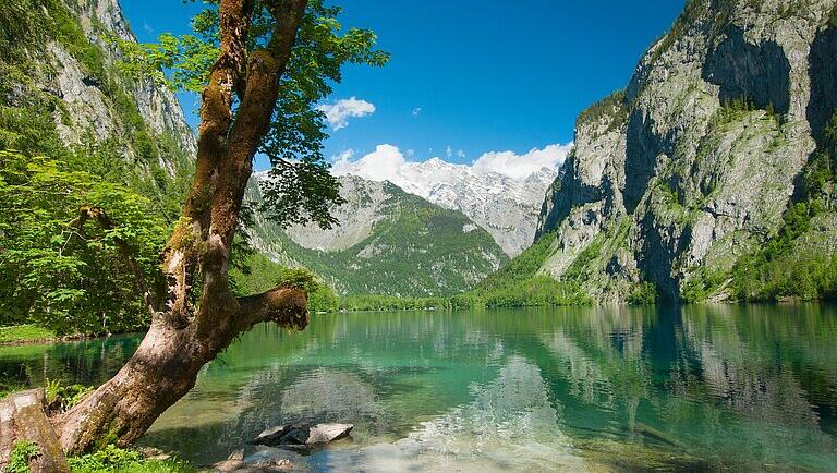 Vorbei an solch traumhaften Ufern schippert man auf dem Königssee – umgeben von einer beeindruckenden Bergkulisse und glasklarem Wasser. Vorbei an solch traumhaften Ufern schippert man auf dem Königssee – umgeben von einer beeindruckenden Bergkulisse und glasklarem Wasser.
