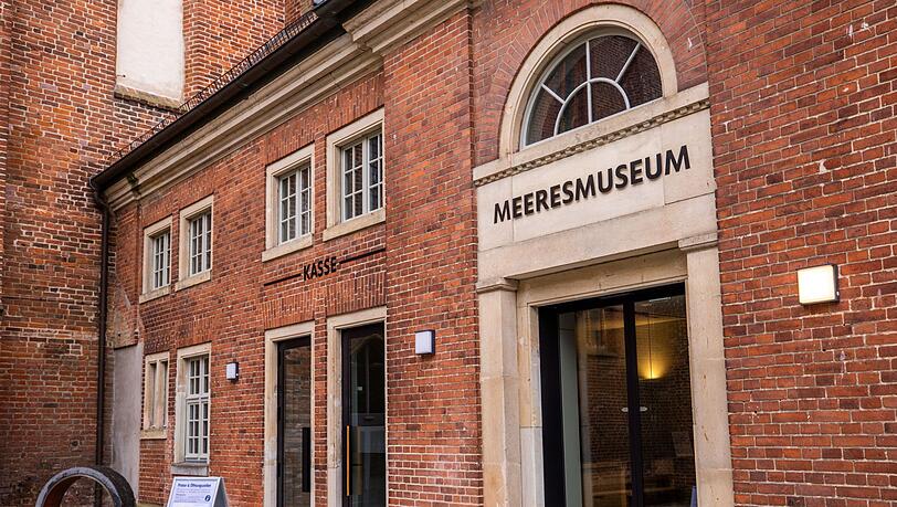 Rund vier Monate nach der Bergung des vor der Ostseeküste geborgenen Buckelwals "Timmy" sieht sich das Deutsche Meeresmuseum in Stralsund immer noch Anfeindungen ausgesetzt. (Archivbild) Rund vier Monate nach der Bergung des vor der Ostseeküste geborgenen Buckelwals "Timmy" sieht sich das Deutsche Meeresmuseum in Stralsund immer noch Anfeindungen ausgesetzt. (Archivbild)