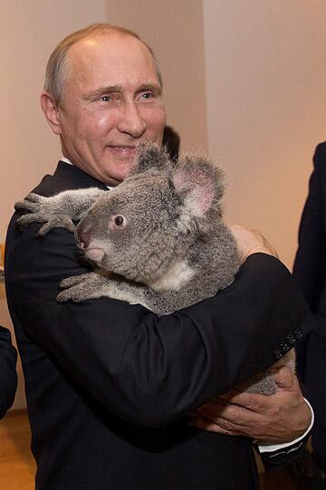 Kremlchef Wladimir Putin