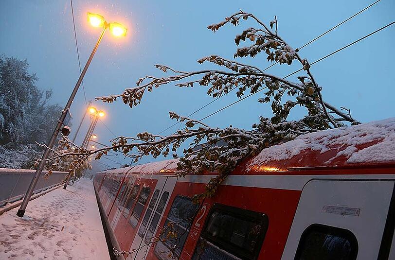 Trotz des Schneefalls gab es am Dienstag bisher keine großen Störungen im Münchner S-Bahn-Netz. Am Nachmittag kommt es jetzt allerdings doch zu einigen Beeinträchtigungen - zwischen Aying und der Kreuzstraße fiel ein Baum auf die Gleise. (Archivbild)