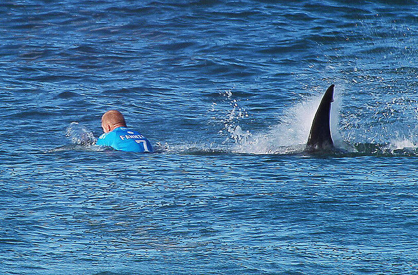 Bei der Begegnung mit dem Hai kam Mick Fanning mit einem gewaltigen Schrecken davon, danach plagten ihn Alpträume. Er nahm psychologische Hilfe in Anspruch.