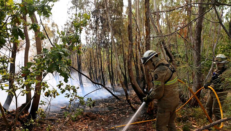 In Portugal gibt es eine leichte Entspannung bei den schweren Waldbränden. Noch aber sind rund 1.400 Feuerwehrleute im Einsatz.