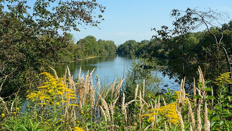 Der Moosgrund wird geschützt. Hervorgegangen ist diese weitläufige Landschaft aus einem Niedermoor, durch das seit mehr als 100 Jahren etwa mittig ein künstlich angelegter Fluss, der Hüllgraben, fließt.