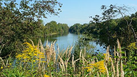 Der Moosgrund wird geschützt. Hervorgegangen ist diese weitläufige Landschaft aus einem Niedermoor, durch das seit mehr als 100 Jahren etwa mittig ein künstlich angelegter Fluss, der Hüllgraben, fließt.