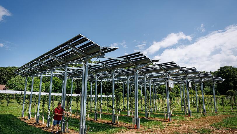 Die Agri-PV-Anlage soll zeigen, wie Kirschbäume gedeihen und gleichzeitig Strom produziert werden kann. Die Agri-PV-Anlage soll zeigen, wie Kirschbäume gedeihen und gleichzeitig Strom produziert werden kann.
