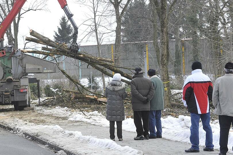 Die Anwohner sind fassungslos: Hunderte Bäume müssen vernichtet werden.