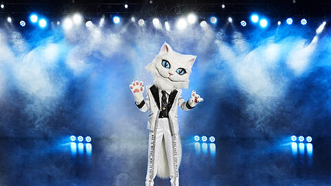 Fans von "The Masked Singer" rätseln, welcher Promi sich als Katze verkleidet hat.