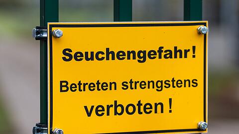 Die auch als Vogelgrippe bezeichnete Geflügelpest hat sich mittlerweile fast über ganz Deutschland ausgebreitet. (Archivbild)