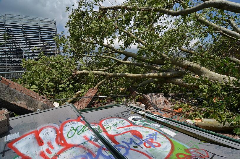 Eine Schneise der Zerstörung zog der Tornado durch Venedig.