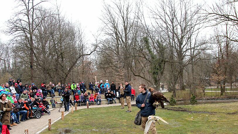 Die Greifvogel-Show im Tierpark hat jetzt eine richtige Zuschauertribüne bekommen. Am Dienstag wurde sie eröffnet. Die Greifvogel-Show im Tierpark hat jetzt eine richtige Zuschauertribüne bekommen. Am Dienstag wurde sie eröffnet.