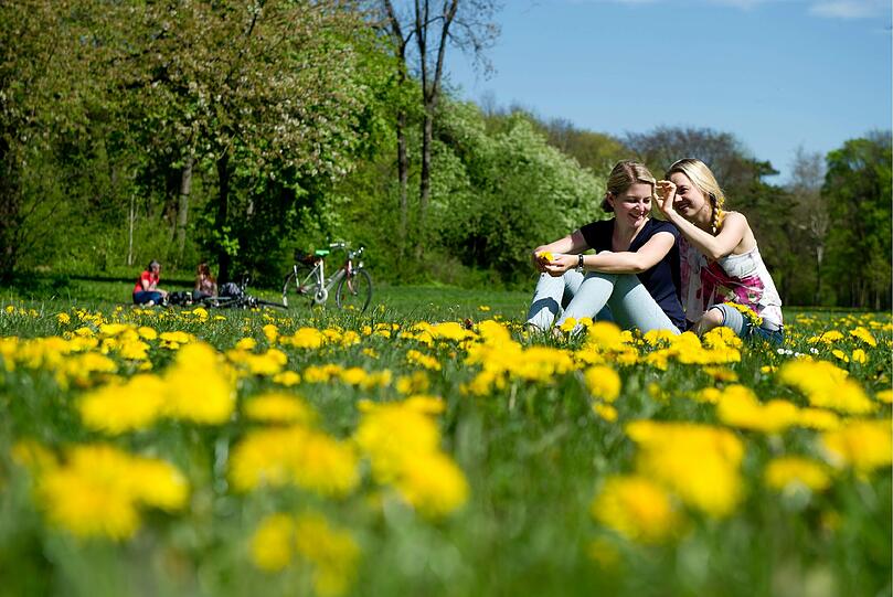 Studentin Veronika bekommt am Freitag im Englischen Garten von einer Freundin Gänseblümchen (Bellis perennis) ins Haar gesteckt.