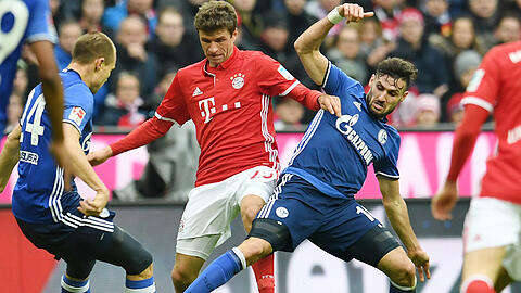 Kein Durchkommen für den FC Bayern: Thomas Müller (M) kämpft mit den Schalkern Holger Badstuber (l) und Daniel Caligiuri (r) um den Ball.
