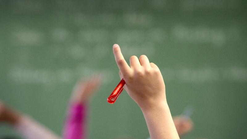 Eine Schülerin meldet sich im Klassenzimmer eines Gymnasiums. Foto: Marijan Murat/dpa/Archivbild Eine Schülerin meldet sich im Klassenzimmer eines Gymnasiums. Foto: Marijan Murat/dpa/Archivbild