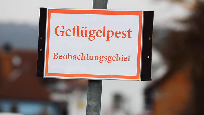 Bei der derzeit in der Wildvogelpopulation festgestellten Geflügelpest handelt es sich um eine hochansteckende und anzeigepflichtige Viruserkrankung des Geflügels und anderer Vogelarten.