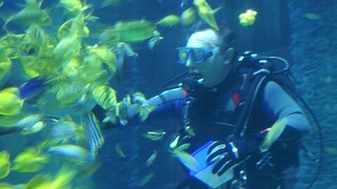 Ein Renner in den Ferien: das Sealife in München