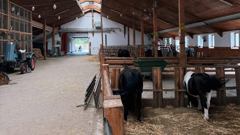 Ein Ponyhof ja, ein Freizeitpark nein: Der Reitsberger Hof bei Vaterstetten ist zuletzt an seine Kapazitätsgrenzen gestoßen. Ein Ponyhof ja, ein Freizeitpark nein: Der Reitsberger Hof bei Vaterstetten ist zuletzt an seine Kapazitätsgrenzen gestoßen.