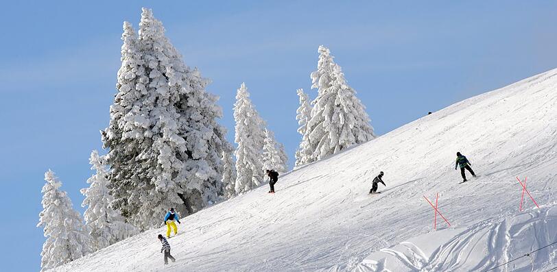 Die Skisaison ist in Deutschland eröffnet. Nicht nur in Feldberg (Baden-Württemberg) freuten sich die Freunde des Wintersport über weiße Pisten.
