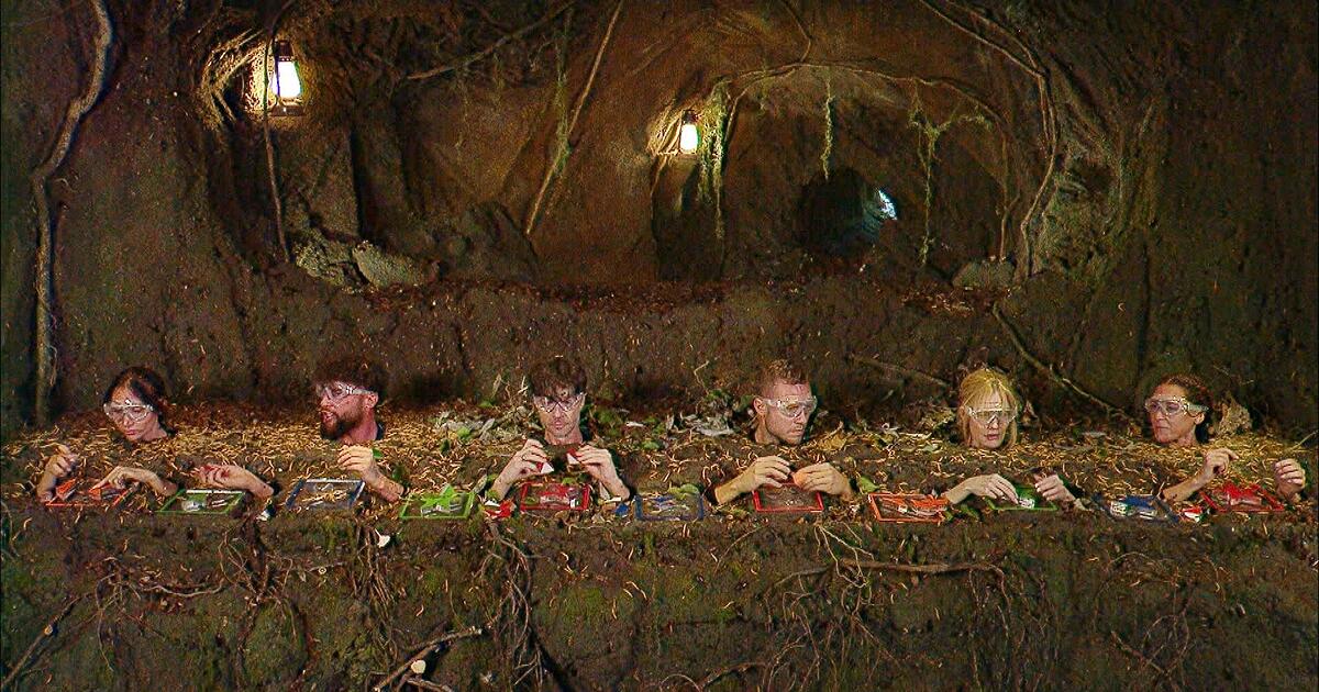 Dschungelpr-fung-an-Tag-9-Promis-gewinnen-kaum-Sterne