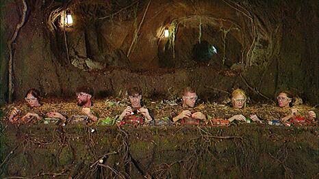 In der Gruppen-Dschungelpr&uuml;fung konnten die VIPs nicht &uuml;berzeugen.