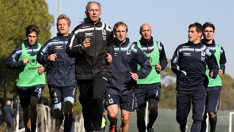 Die Löwen im Trainingslager Die Löwen im Trainingslager