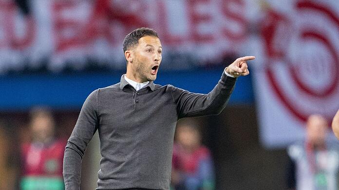 Trainer Domenico Tedesco löste mit Belgien das EM-Ticket.