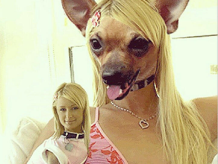 Paris Hilton hat ihren Platz mit Hündchen Tinkerbell getauscht