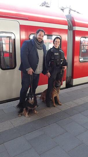 Kenai's Besitzer ist erleichtert, dass es Kenai gut geht.