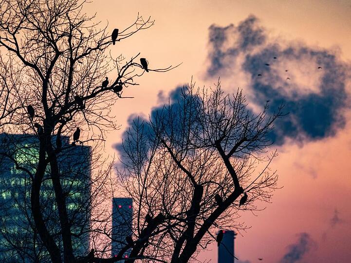 Milde Luft in Deutschland: Die Temperaturen klettern am Freitag mancherorts auf bis zu neun oder zehn Grad.