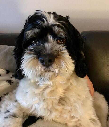 Oskar
