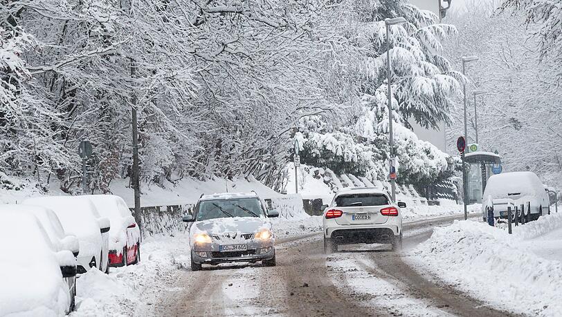 Das Winterwetter in Franken hat viele Auswirkungen - B&auml;ume, die unter der Schneelast zusammenbrechen, f&uuml;hren beispielsweise zu Stromausf&auml;llen. (Symbolbild)