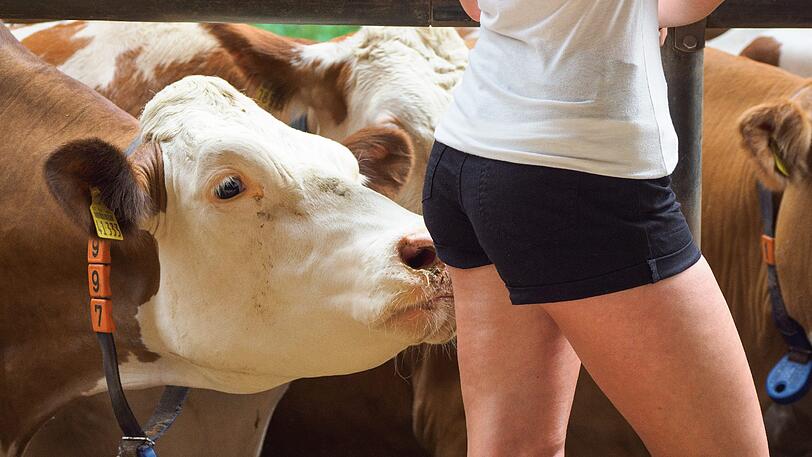 Alle Models müssen einen Bezug zur Landwirtschaft haben.