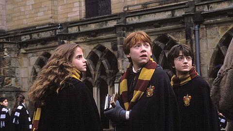 Das Trio um Harry geht dem Geheimnis um die Kammer des Schreckens nach