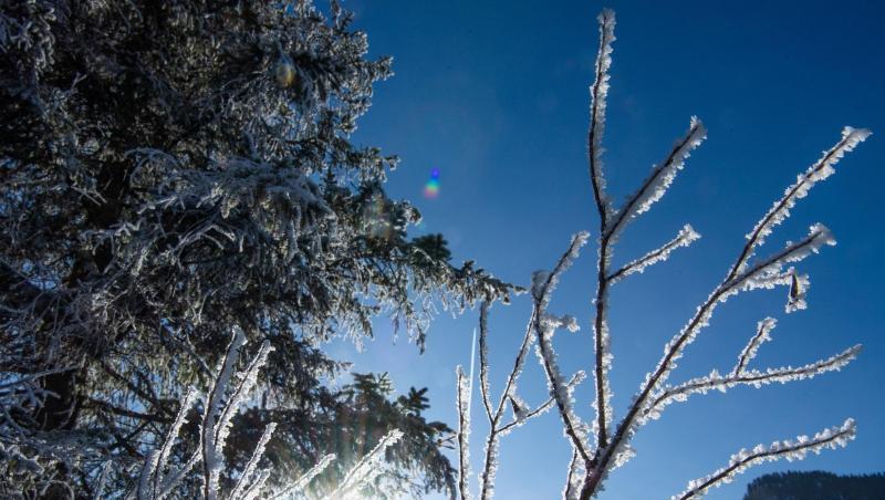 Dem Freistaat stehen am Wochenende geradezu frühlingshafte Temperaturen bevor. (Symbolbild) Dem Freistaat stehen am Wochenende geradezu frühlingshafte Temperaturen bevor. (Symbolbild)