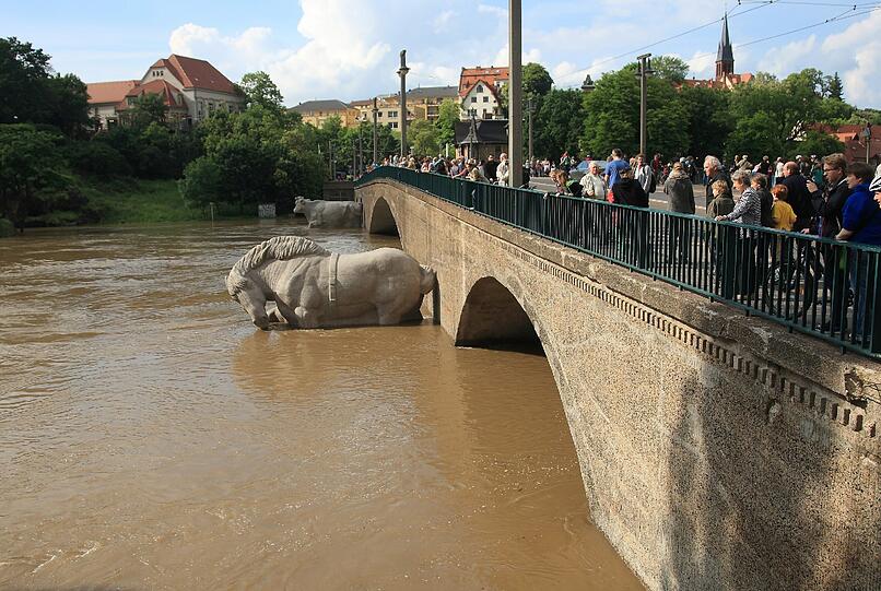 Ein Flusspferd an der Kröllwitzer Brücke in Halle an der Saale