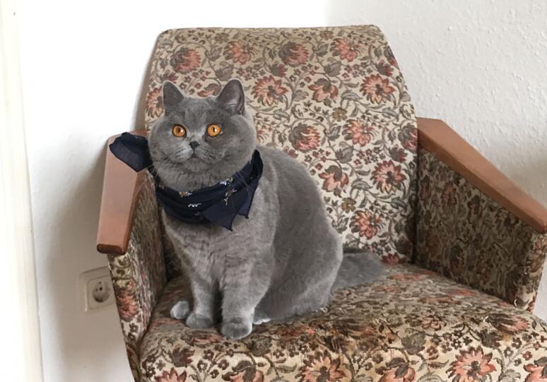 Lady Mala