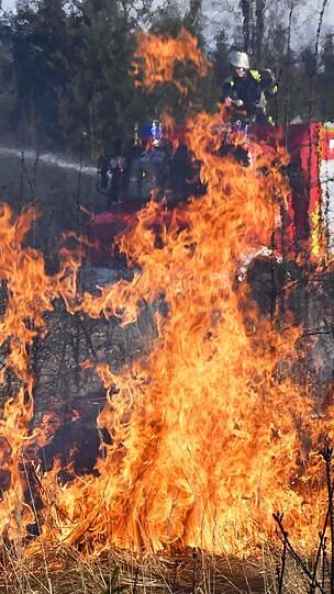 ...Spaziergänger hatten die Flammen bemerkt. Die Feuerwehr konnte die Brände löschen.