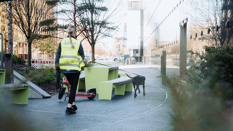 Hundedame Lila trabt zielsicher um ein hohes Bürogebäude. Sie hat den richtigen Riecher. In wenigen Metern wartet ihre gesuchte Person. Hundedame Lila trabt zielsicher um ein hohes Bürogebäude. Sie hat den richtigen Riecher. In wenigen Metern wartet ihre gesuchte Person.