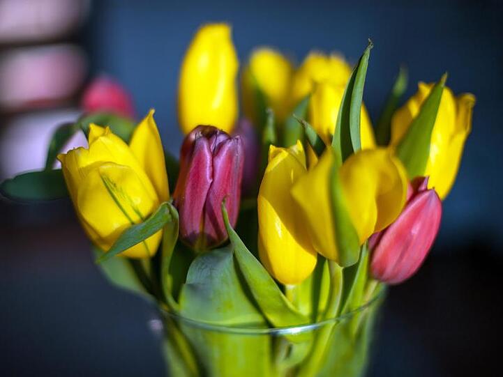 Gelbe und rote Tulpen stehen in einer Blumenvase auf einem Tisch. Foto: Monika Skolimowska/zb/dpa/Archiv