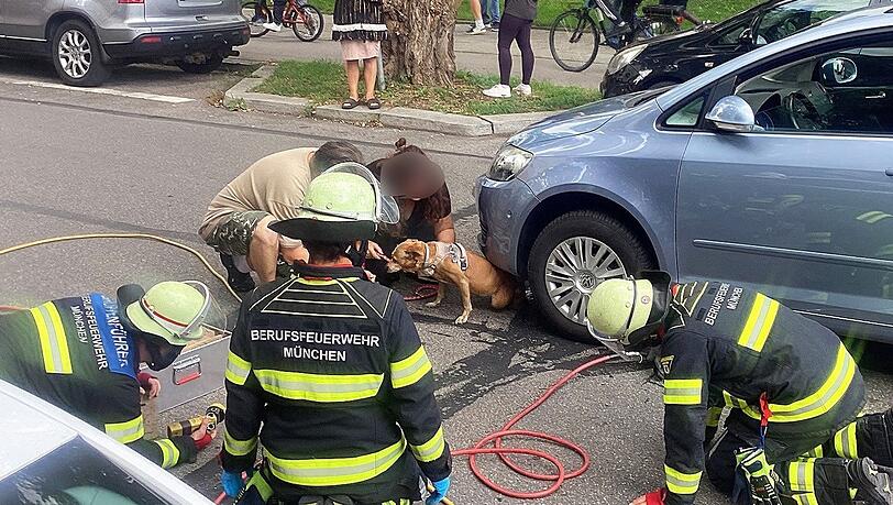 Mit einem Hebekissen holte die Feuerwehr Hündin Cookie unter dem Auto hervor.