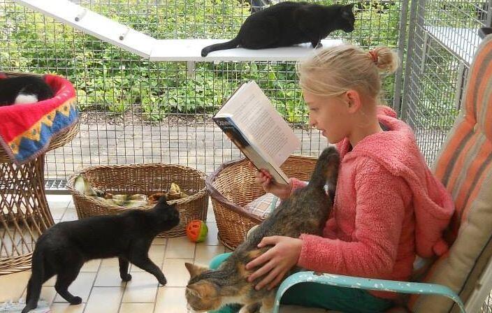 Hier liest Marie den Katzen vor. Auch in München sollen solche Lesungen bald möglich sein.
