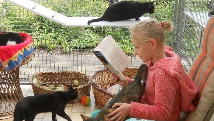 Hier liest Marie den Katzen vor. Auch in München sollen solche Lesungen bald möglich sein. Hier liest Marie den Katzen vor. Auch in München sollen solche Lesungen bald möglich sein.