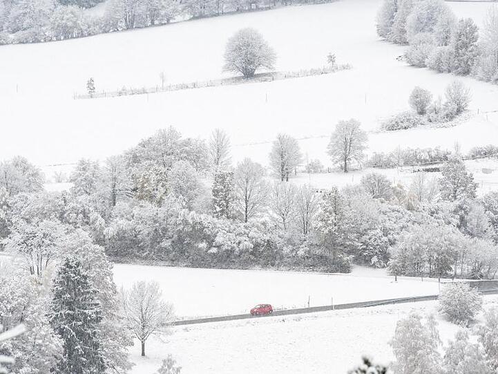 Eine Schneelandschaft im Bayerischen Wald ist mit Schnee bedeckt. Foto: Armin Weigel/dpa/Archivbild