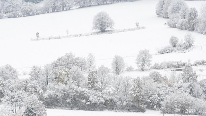 Eine Schneelandschaft im Bayerischen Wald ist mit Schnee bedeckt. Foto: Armin Weigel/dpa/Archivbild Eine Schneelandschaft im Bayerischen Wald ist mit Schnee bedeckt. Foto: Armin Weigel/dpa/Archivbild