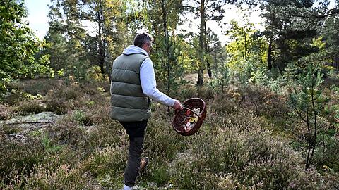 Moritz Schmid unterwegs in seinem Heimatwald.